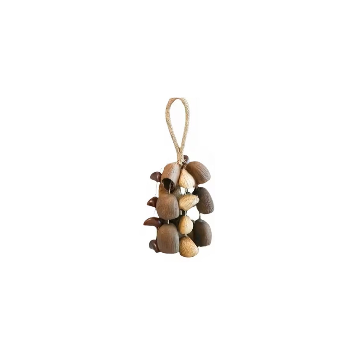 Grappe de graines mixtes