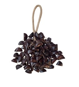 3876-grappe-entada_demi