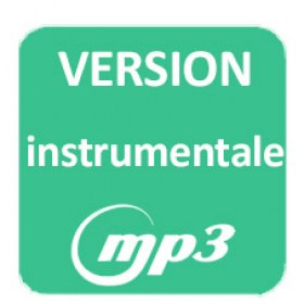version-instrumentale-mp313